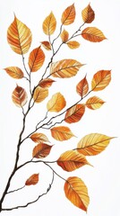 Autumn Leaves Branch Shows Beauty of Fall and Seasonal Change.
