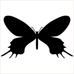 Bhutan Glory, butterfly silhouette isolated on white, Bhutanitis Lidderdalii