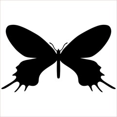 Bhutan Glory, butterfly silhouette isolated on white, Bhutanitis Lidderdalii