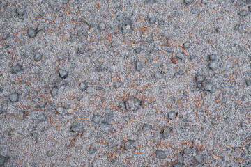 朝の霜が被る自然な地面