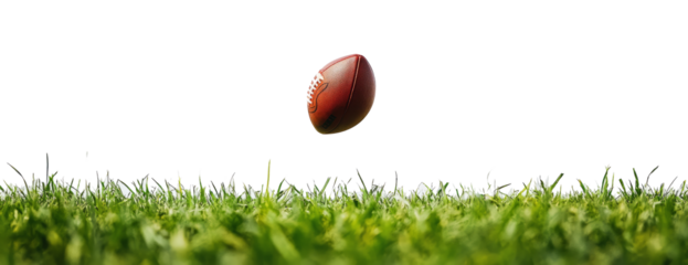 american football on the grass.