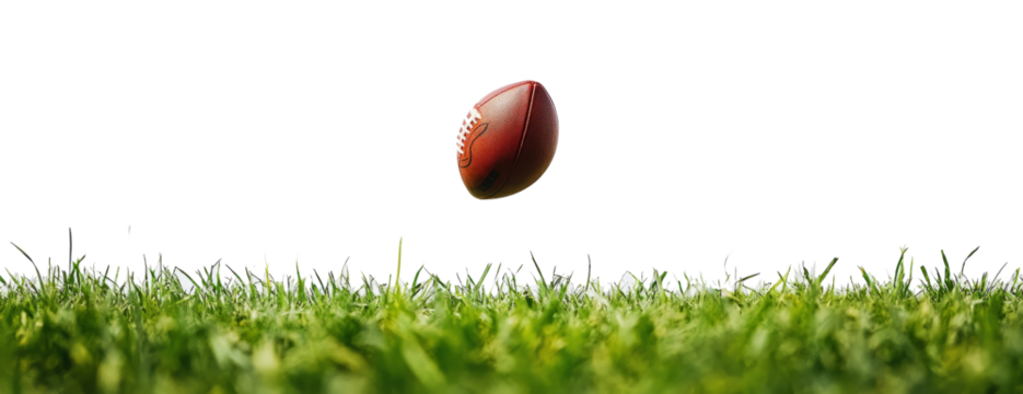 american football on the grass.