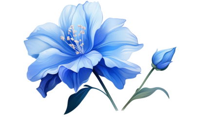 A detailed illustration of a blue flower with delicate petals and green leaves on a white background, perfect for nature, floral themes, or botanical design	