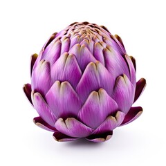 Fototapeta premium Isolated Purple Artichoke on White Background. Fresh and Ripe Globe Artichoke in Closeup View