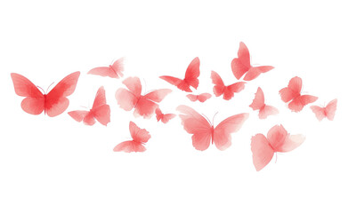 pink butterfly on white background.