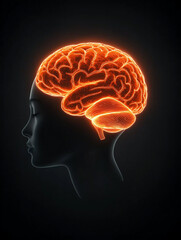 Glowing Mind: A profile view of a human head with an illuminated brain, representing the power and potential of the human mind.  