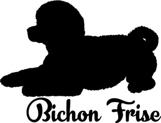 Bichon Frise dog silhouette, dog, dog breeds, logo, vector, love me love my dog, silhouette, i love my dog, animal, illustration, icon, sign, design, black, symbol, pet, love
