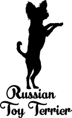 Russian Toy Terrier. dog silhouette, dog, dog breeds, logo, vector, love me love my dog, silhouette, i love my dog, animal, illustration, icon, sign, design, black, symbol, pet, love
