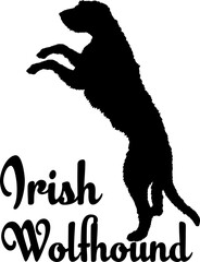 Irish Wolfhound. dog silhouette, dog, dog breeds, logo, vector, love me love my dog, silhouette, i love my dog, animal, illustration, icon, sign, design, black, symbol, pet, love
