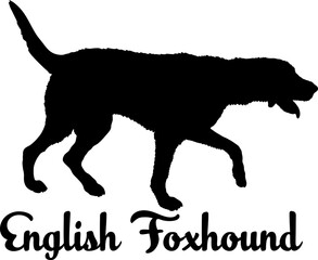 English Foxhound. dog silhouette, dog, dog breeds, logo, vector, love me love my dog, silhouette, i love my dog, animal, illustration, icon, sign, design, black, symbol, pet, love

