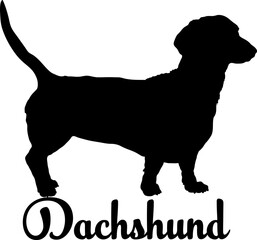 Dachshund. dog silhouette, dog, dog breeds, logo, vector, love me love my dog, silhouette, i love my dog, animal, illustration, icon, sign, design, black, symbol, pet, love

