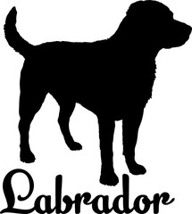 Labrador dog silhouette, dog, dog breeds, logo, vector, love me love my dog, silhouette, i love my dog, animal, illustration, icon, sign, design, black, symbol, pet, love


