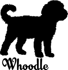  Whoodle dog silhouette, dog, dog breeds, logo, vector, love me love my dog, silhouette, i love my dog, animal, illustration, icon, sign, design, black, symbol, pet, love

