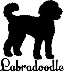  Labradoodle  dog silhouette, dog, dog breeds, logo, vector, love me love my dog, silhouette, i love my dog, animal, illustration, icon, sign, design, black, symbol, pet, love

