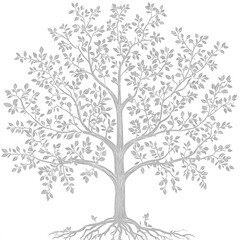 Obraz premium A beautifully detailed vector illustration of a tree, with intricate, flowing branches and leaves, standing tall against a pure white background. The tree's roots are prominently visible, extending de