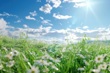 Obraz premium Abstract nature background with grass in meadow and blue sky.