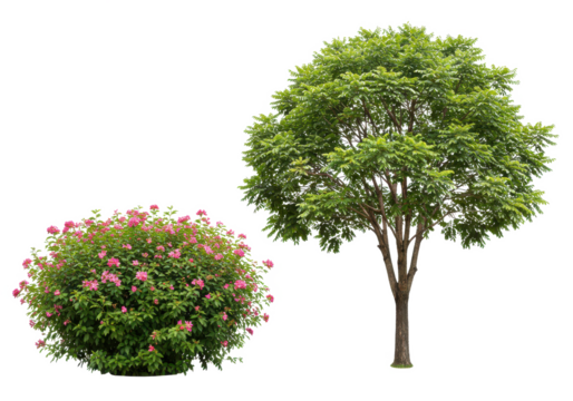 Flower bush tree set isolated on white background, no depth of field, sharp.
