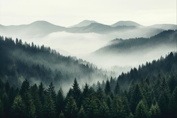 Obraz premium Misty Mountain Landscape. Travel to a Foggy Hill in The Morning with Forest and Misty Natural Landscape