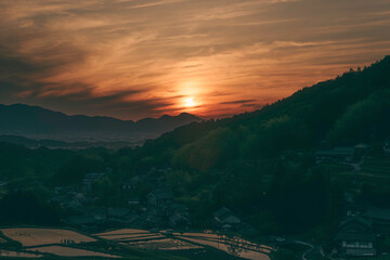 A farming village at dusk, beautiful scenery of rice paddies just before the sun sets	