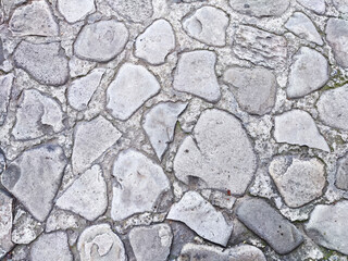 Close-up view of a stone pathway featuring various shapes and textures under bright natural light.