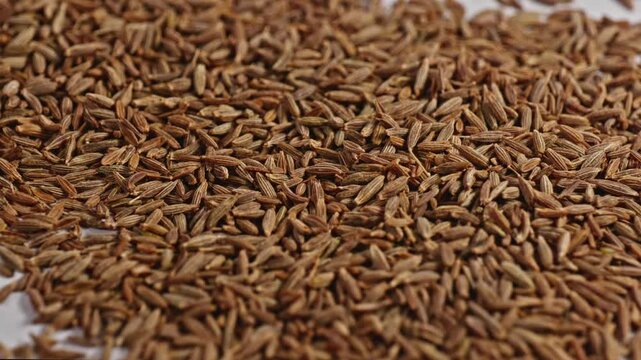 cumin seeds or jeera close up, parallax shot, 4k