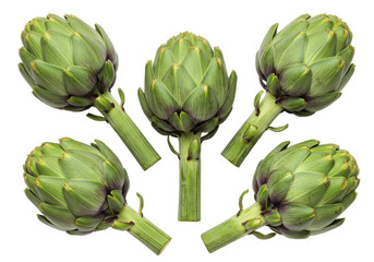 Obraz premium Fresh Artichokes isolated on white background, no depth of field, sharp.