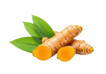 Turmeric root and leaves isolated on white background, no depth of field, sharp.