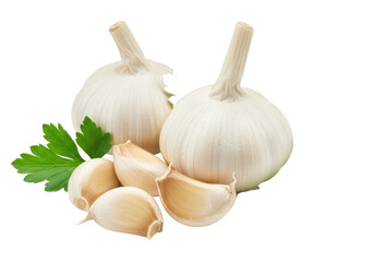 Fresh garlic bulbs and peeled cloves with green parsley leaves isolated on white background