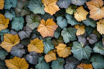 Colorful leaves background. Colorful leaves texture. Top view.