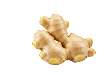 Fresh ginger root with green leaves isolated on white background, front view, no depth of field, sharp.