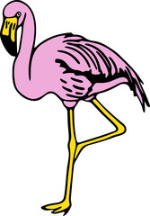 Hand Drawn Standing Flamingo Bird