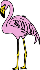 Hand Drawn Standing Flamingo Bird