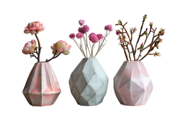 Beautiful flowers in vases isolated on transparent background.