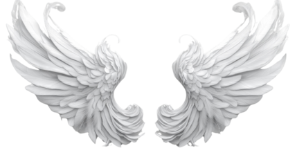 Angel Wings Tattoo with Eagle Feather Design