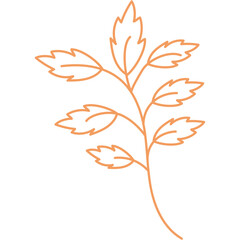 Hand Drawn Aesthetic Leaves