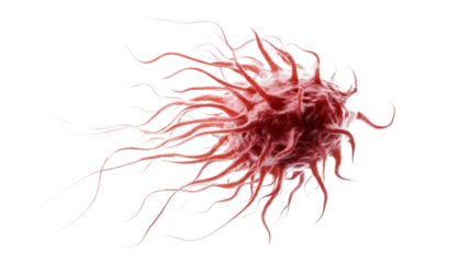 Hand-drawn illustration of human brain anatomy with floral and nature-inspired patterns, featuring intricate lines, butterflies, and a soft brown color palette