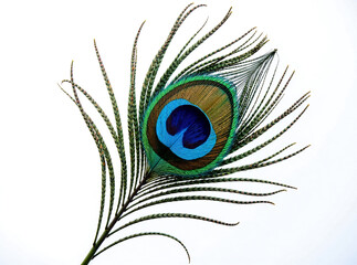 Ethereal Elegance: A Majestic Peacock Feather Unveiled on White or PNG Transparent Background. new image 