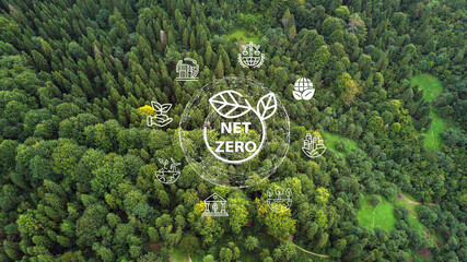 Ukrainian carpathian mountain forest from above aerial view