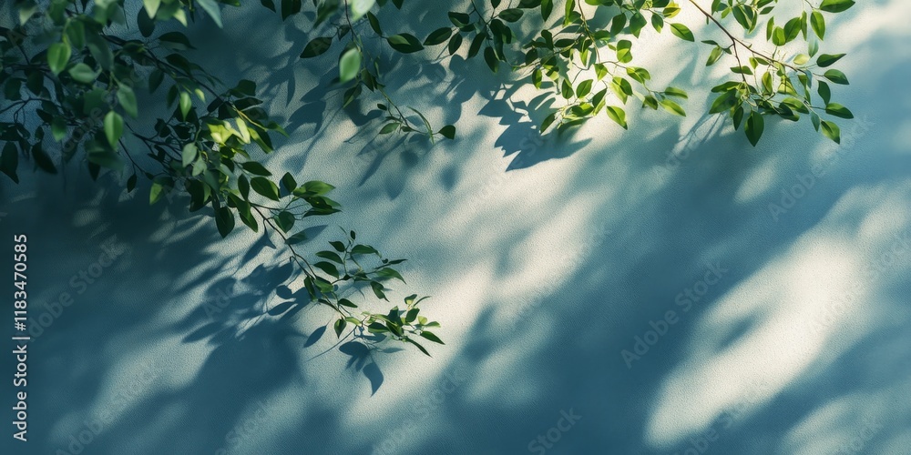 Poster Aesthetic light background featuring sharp shadows of a tree branch. This nature inspired summer backdrop creates a simple mockup for poster presentations, highlighting the interplay of shadows and