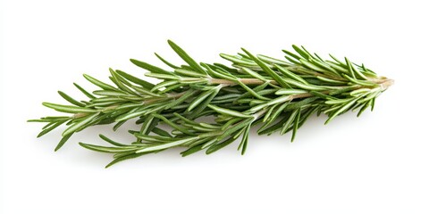 Fresh rosemary bunch isolated on a white background, showcasing the vibrant greenery and aromatic appeal of rosemary. Perfect for culinary or herbal themes, highlighting the essence of fresh rosemary.