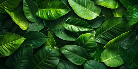 Tropical leaf texture creates a stunning background featuring vibrant green leaves. The richness of tropical leaf texture brings nature to life, making it perfect for various creative projects.