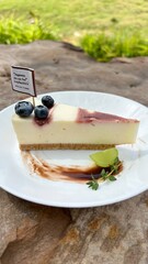 cake, dessert, food, sweet, cheesecake, cream, strawberry, pie, plate, slice, pastry, cheese, fruit, chocolate, baked, gourmet, red, delicious, berry, white, bakery, snack, piece, sugar, raspberry