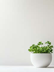 Minimalist design with single green shamrock on clean white background for St. Patricks day decor