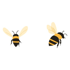 Bee illustration background insect vector