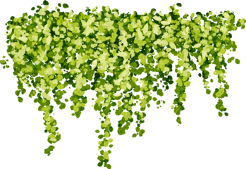 Hanging plants in watercolor style with green leaves