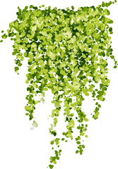 Hanging plants in watercolor style with green leaves
