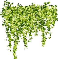 Hanging plants in watercolor style with green leaves