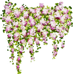 Hanging plants in watercolor style with pink flowers