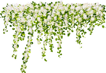 Hanging plants in watercolor style with white flowers