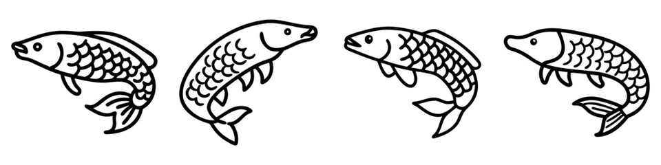 arapaima icon, fish line art, fish vector - simple black line art icon of arapaima perfect for logos, and fish-themed designs.